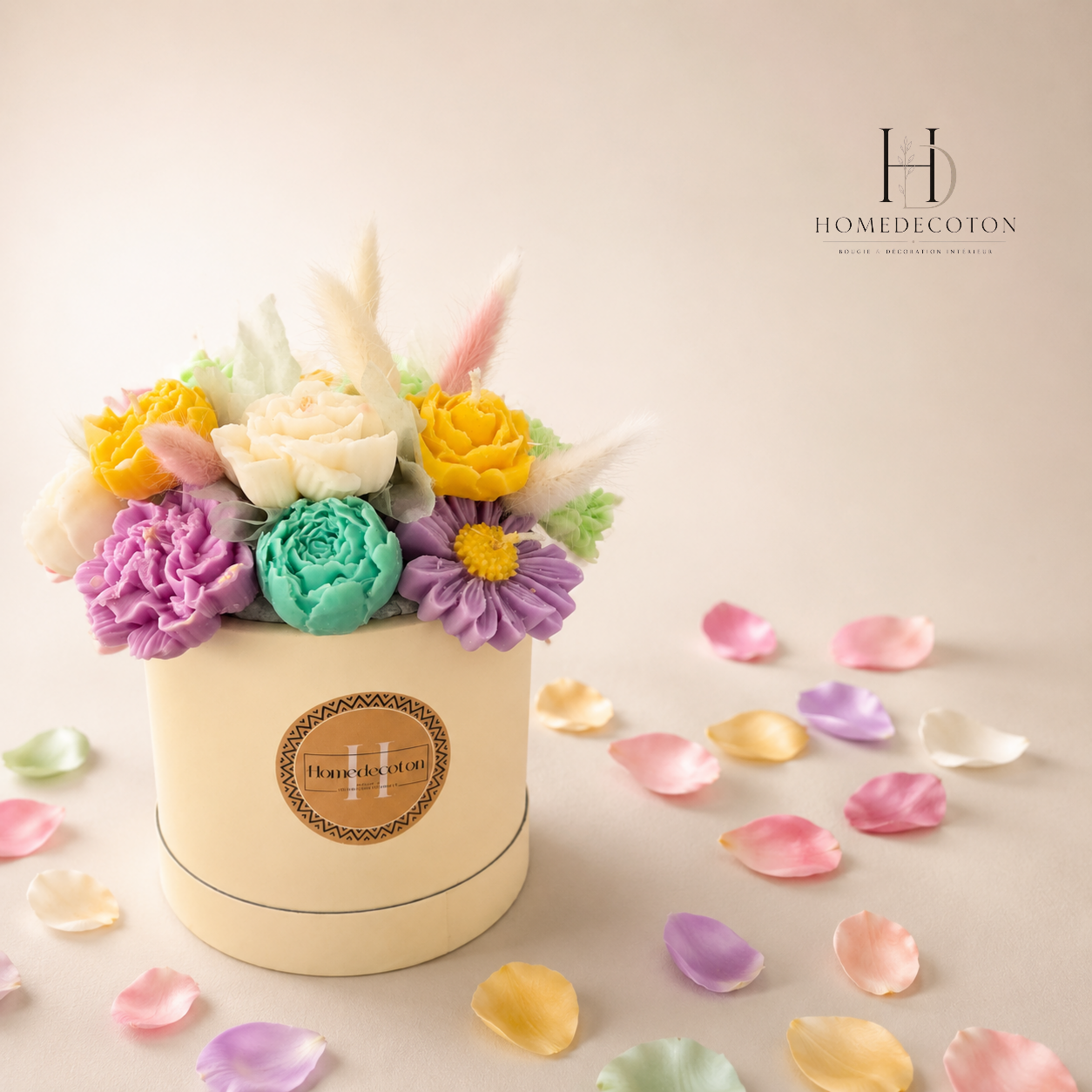 BOX MULTI COULEURS